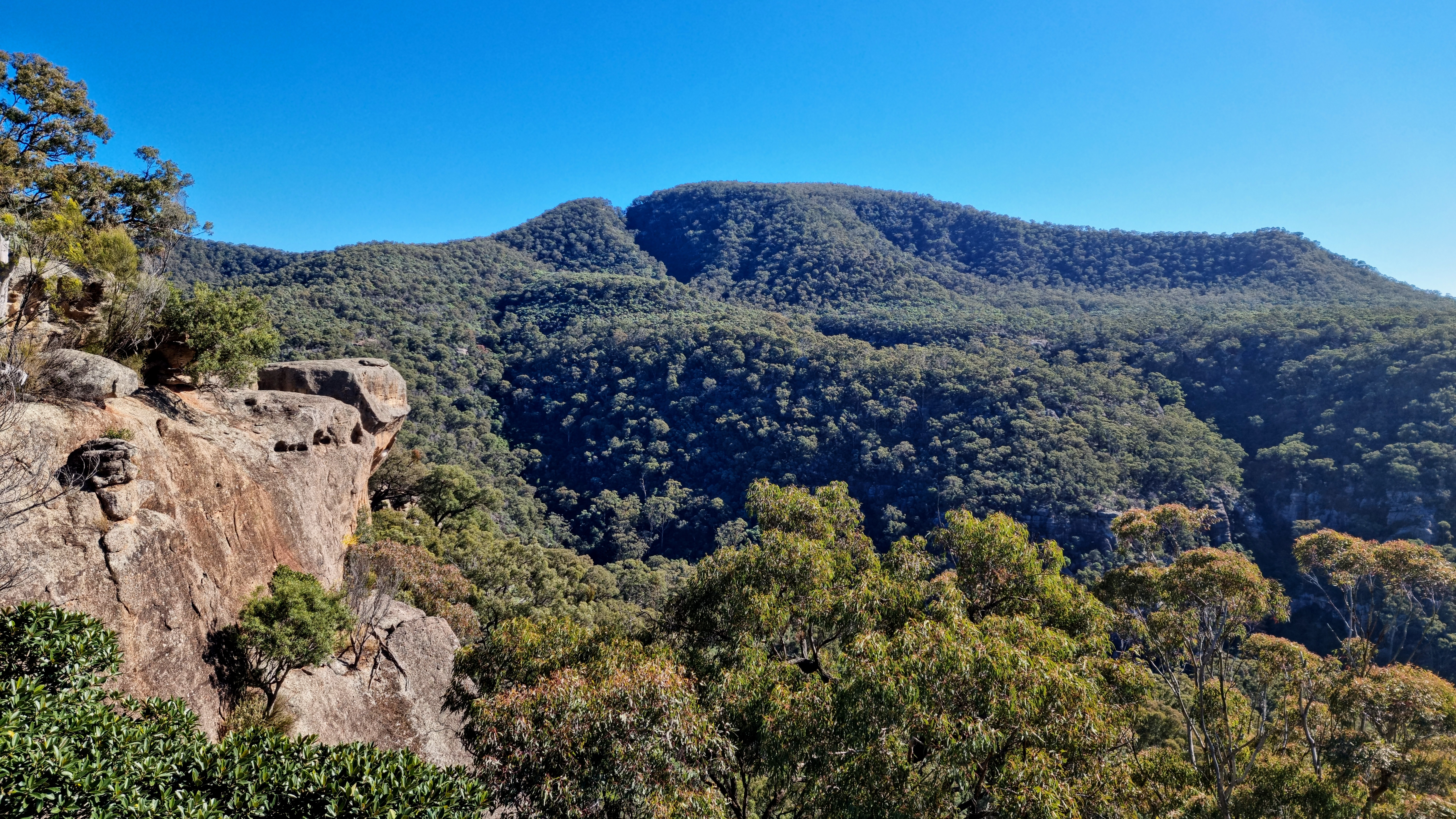 Mount Neilson Wollemi National Park
