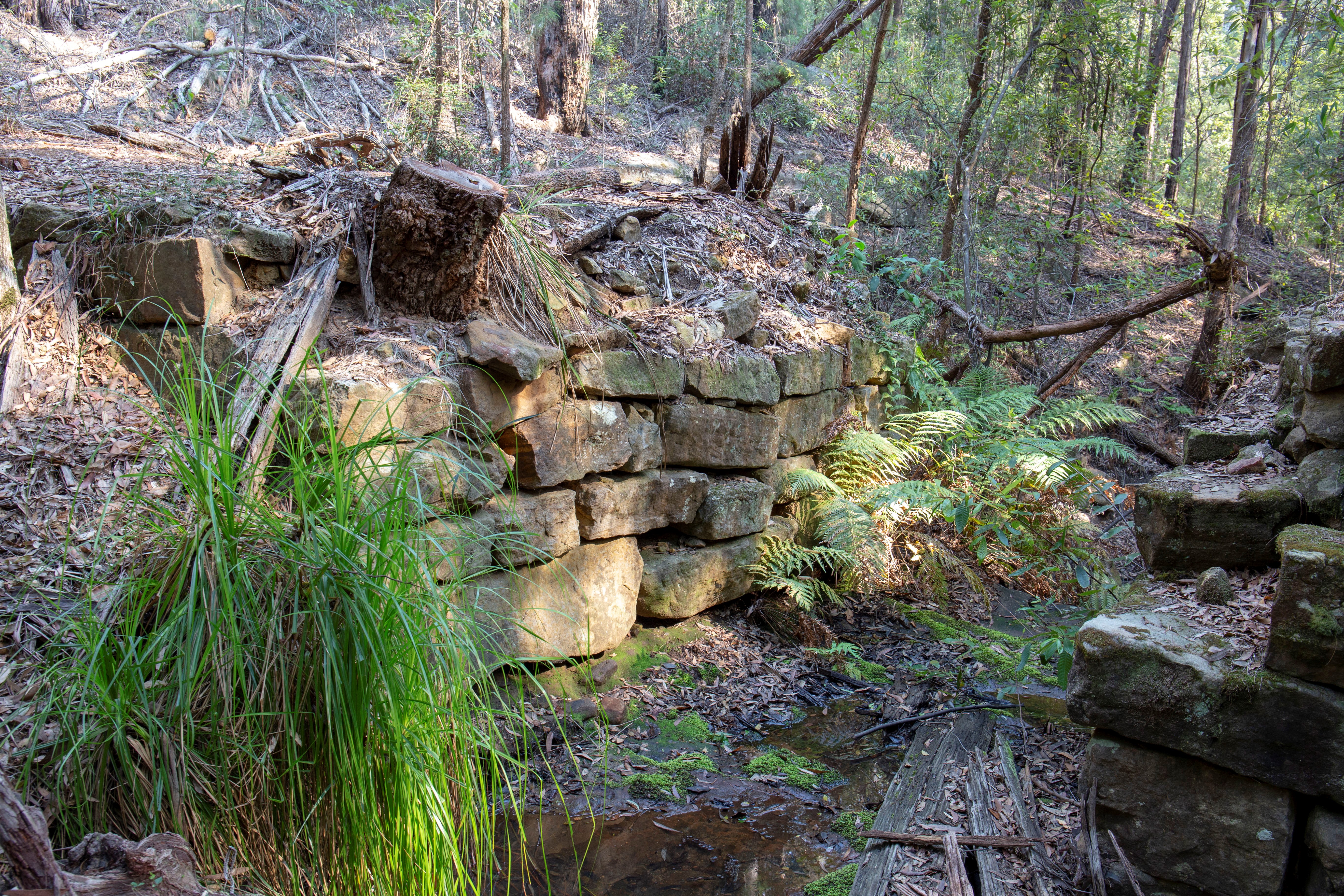 convict-trail-1.jpg