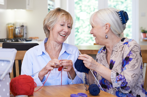 two ladies knitting and talking