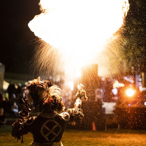 Singleton Firelight Festival 2022 (2).jpg