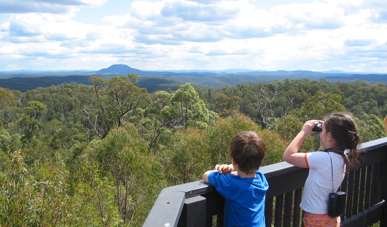 Finchley Lookout, Yengo National Park.jpg
