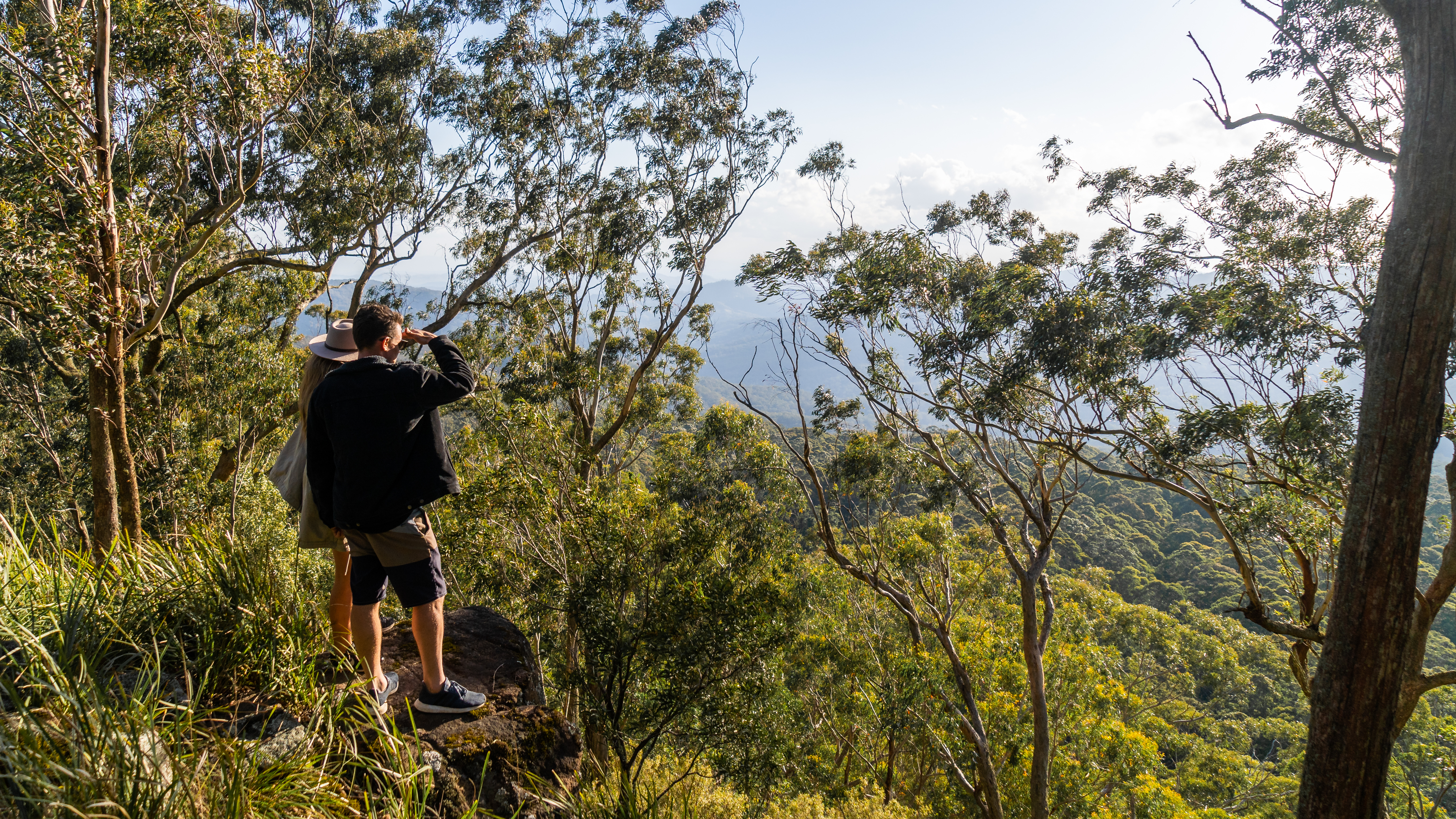 Mount Royal National Park - couple bushwalking at lookout