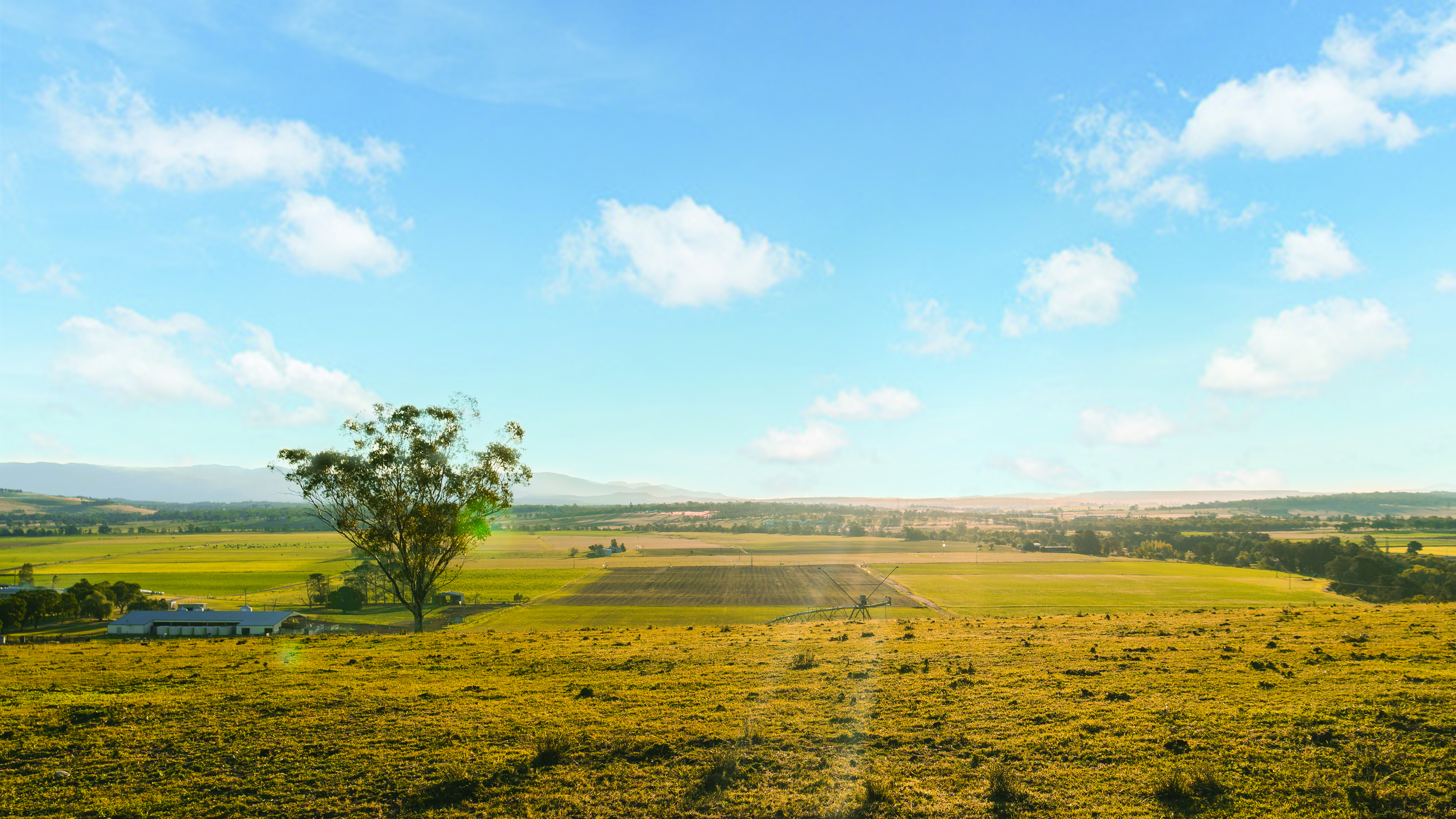 Scenic-views-of-farmland-in-Singleton.jpg